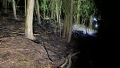 IMG-20250626-WA0000