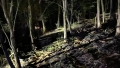 IMG-20250626-WA0001