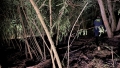 IMG-20250626-WA0005
