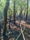 IMG-20250825-WA0004
