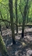 IMG-20250625-WA0005