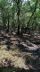 IMG-20250625-WA0006