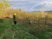 IMG-20250411-WA0003