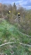 IMG-20250411-WA0004