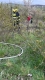IMG-20250411-WA0005