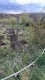 IMG-20250411-WA0006