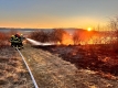 IMG-20250302-WA0007